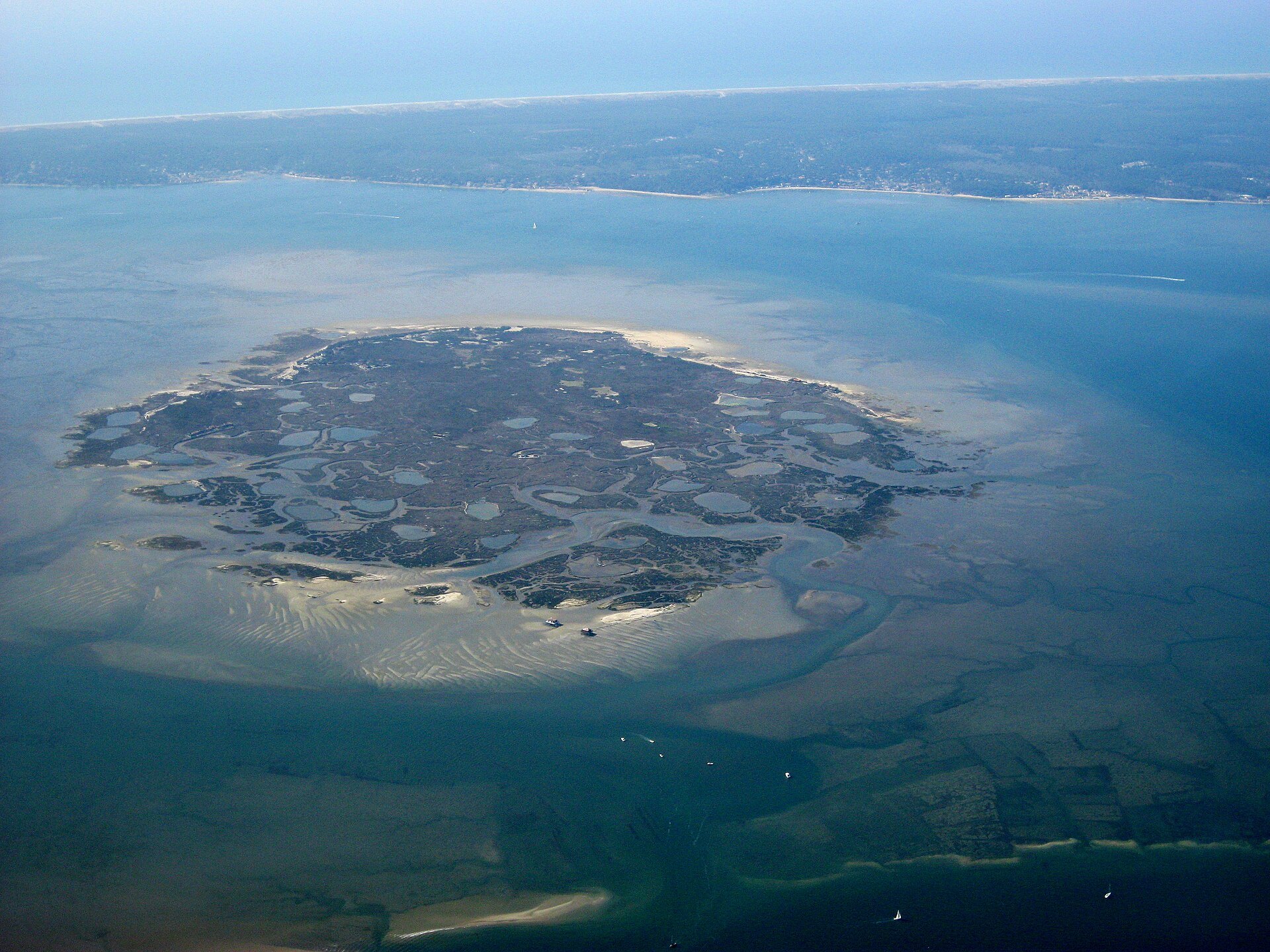 Aerial view of Bird Island